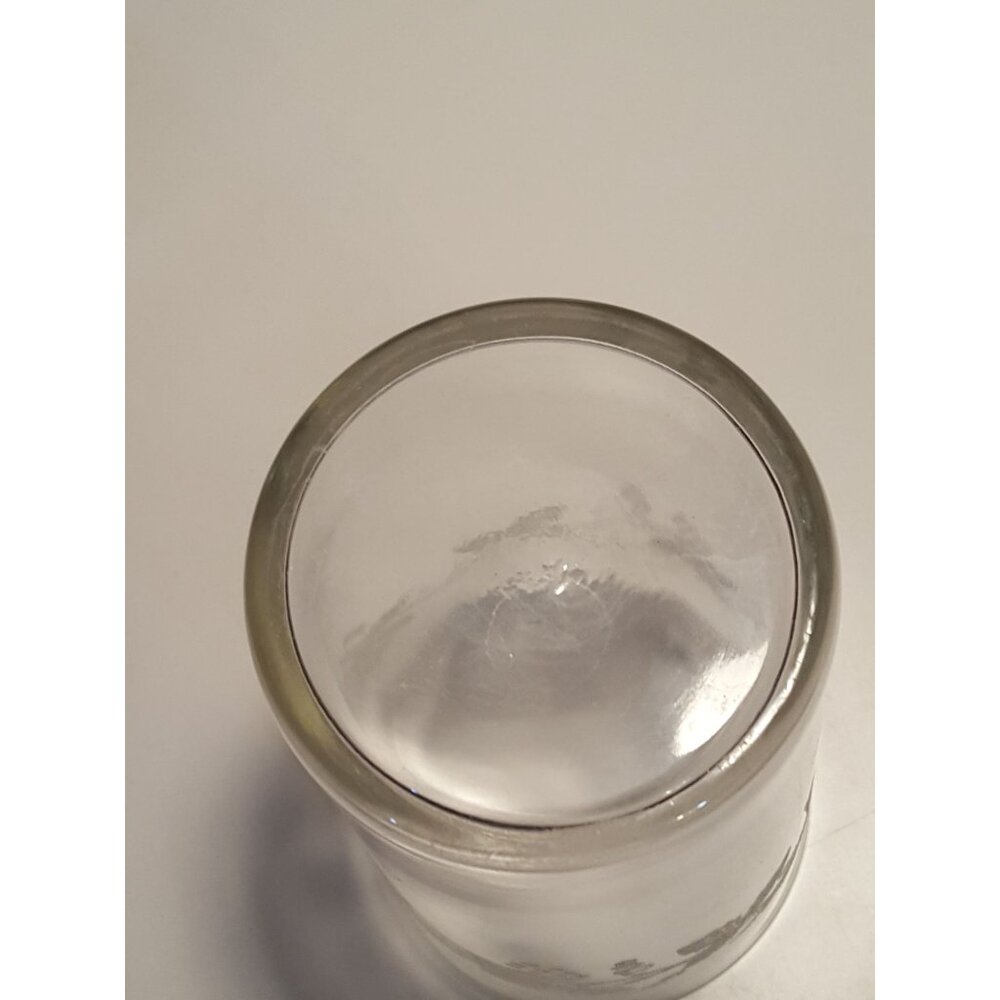 Barlett Collins Grapes And Leaves Embossed Drinking Glass Tumbler 16oz Replaceme - Picture 6 of 6